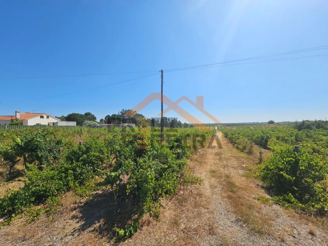 Terreno para Venda em Poceirão e Marateca Foto 6
