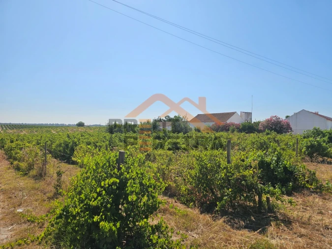 Terreno para Venda em Poceirão e Marateca Foto 6