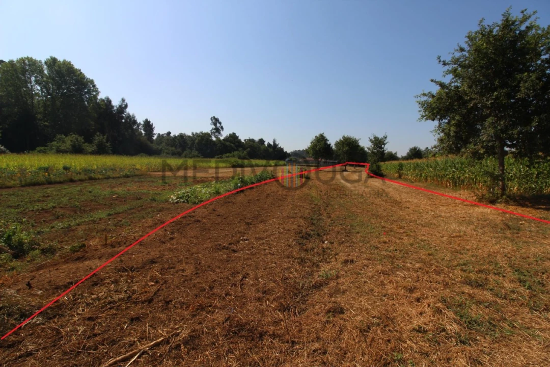 Terreno para Venda em Trofa, Segadães e Lamas do Vouga Foto 2