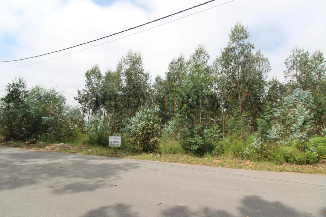 Terreno Comércio / Armazém para Venda em Águeda e Borralha Foto 3