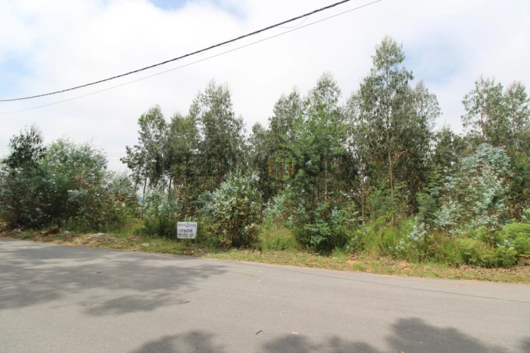 Terreno Comércio / Armazém para Venda em Águeda e Borralha Foto 3