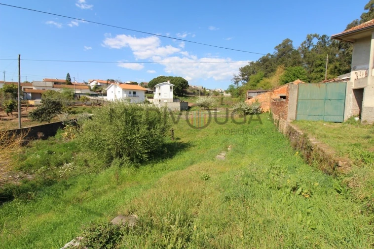 Terreno para Venda em Travassô e Óis da Ribeira Foto 2