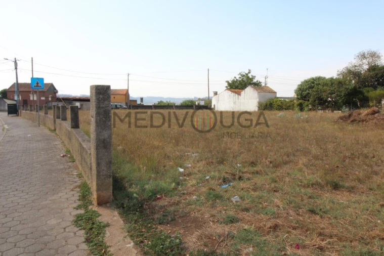 Terreno para Venda em Águeda e Borralha Foto 3