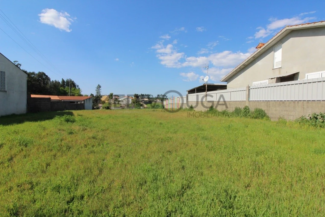 Terreno para Venda em Travassô e Óis da Ribeira Foto 2