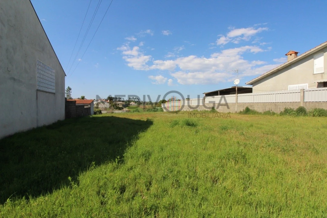 Terreno para Venda em Travassô e Óis da Ribeira Foto 4