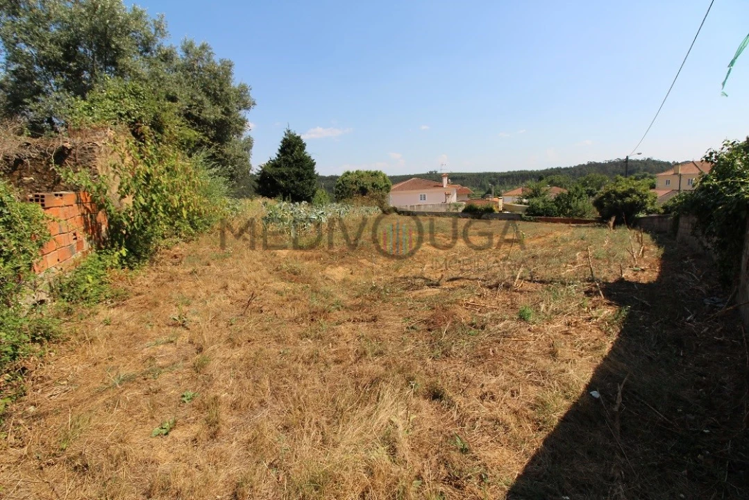 Terreno para Venda em Macinhata do Vouga Foto 1