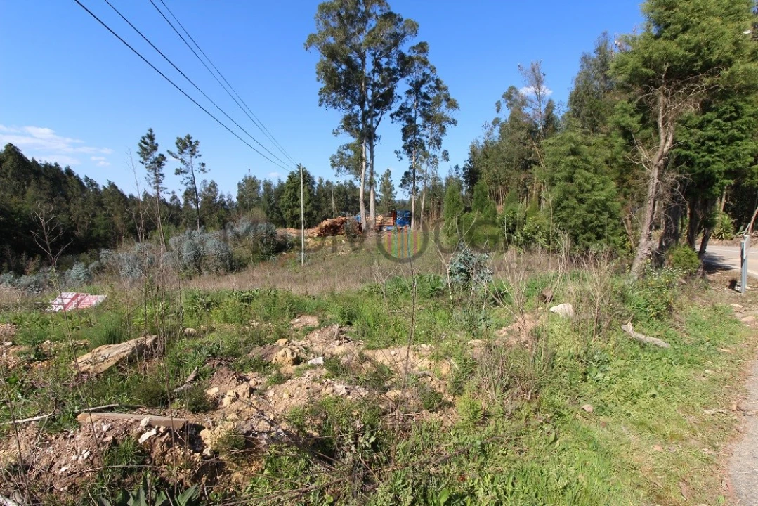 Terreno para Venda em Belazaima do Chão, Castanheira do Vouga e Agadão Foto 2