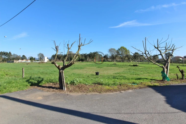 Terreno para Venda em Trofa, Segadães e Lamas do Vouga Foto 1