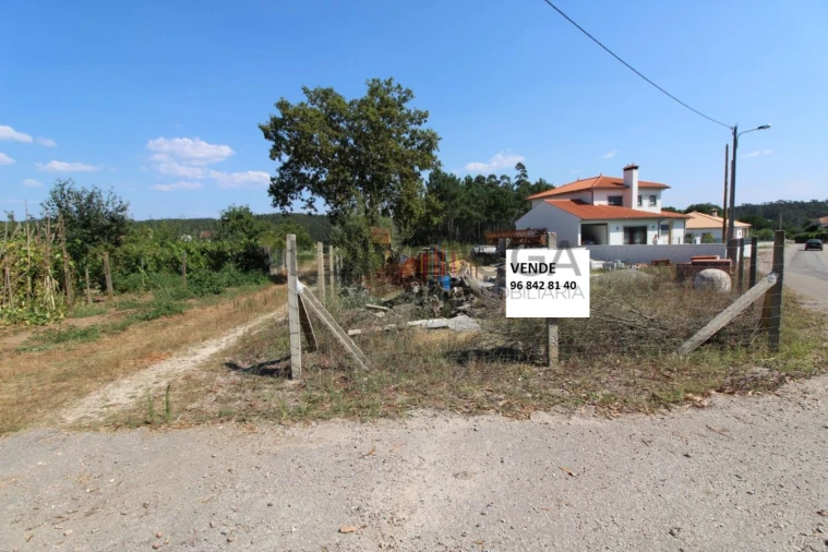 Terreno para Venda em Macinhata do Vouga Foto 3