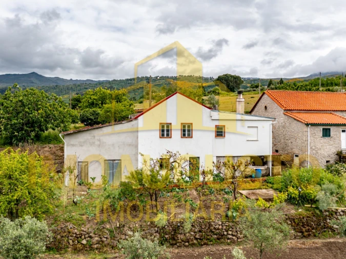 Quinta T3 para Venda em Melo e Nabais Foto 3