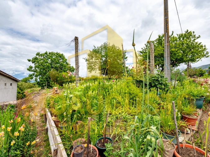 Quinta T3 para Venda em Melo e Nabais Foto 34