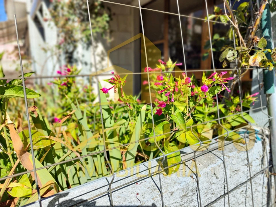 Loja para Venda em Guarda Foto 3