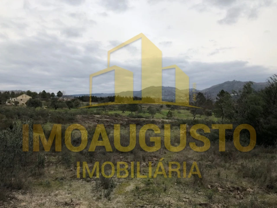 Terreno para Venda em Vela Foto 13