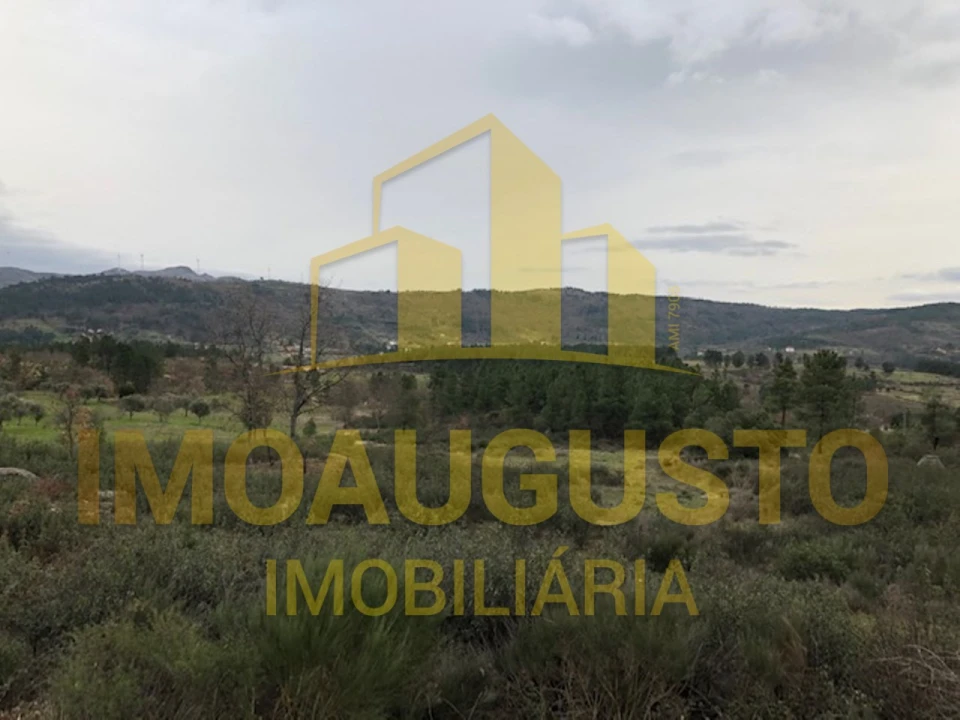 Terreno para Venda em Vela Foto 18