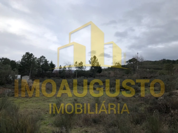 Terreno para Venda em Vela Foto 2