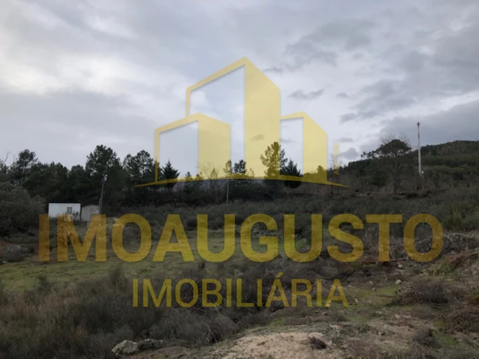 Terreno para Venda em Vela Foto 6