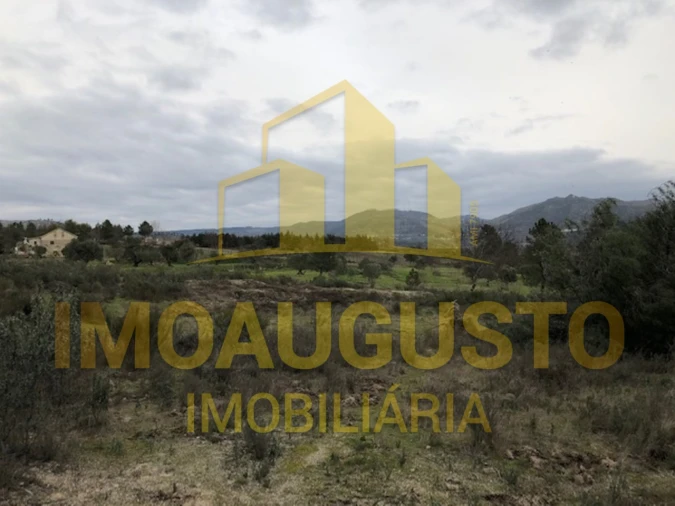 Terreno para Venda em Vela Foto 13