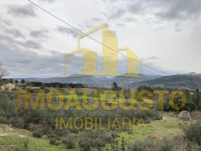 Terreno para Venda em Vela Foto 16