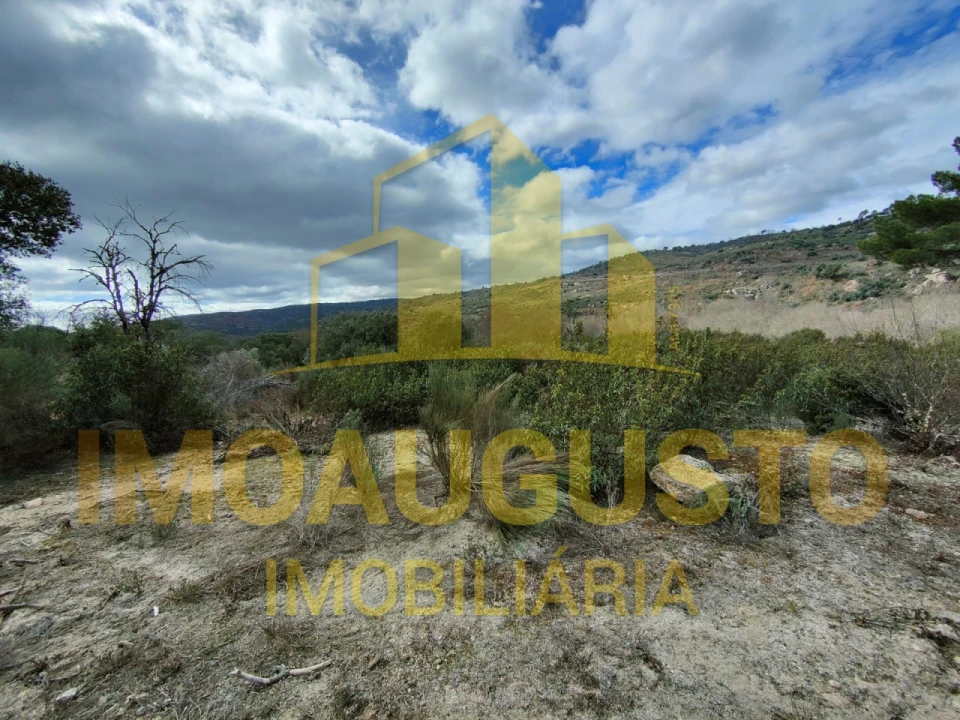 Terreno para Venda em Almeida Foto 4