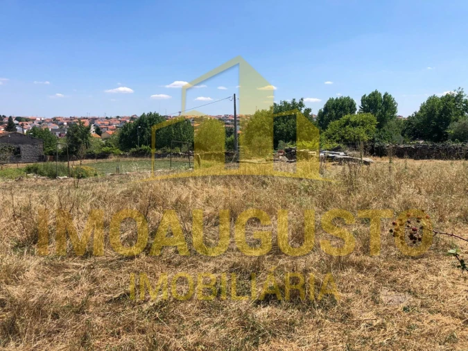 Terreno para Venda em Vilar Formoso Foto 2
