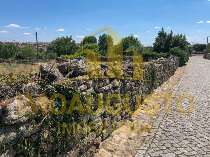Terreno para Venda em Vilar Formoso Foto 7