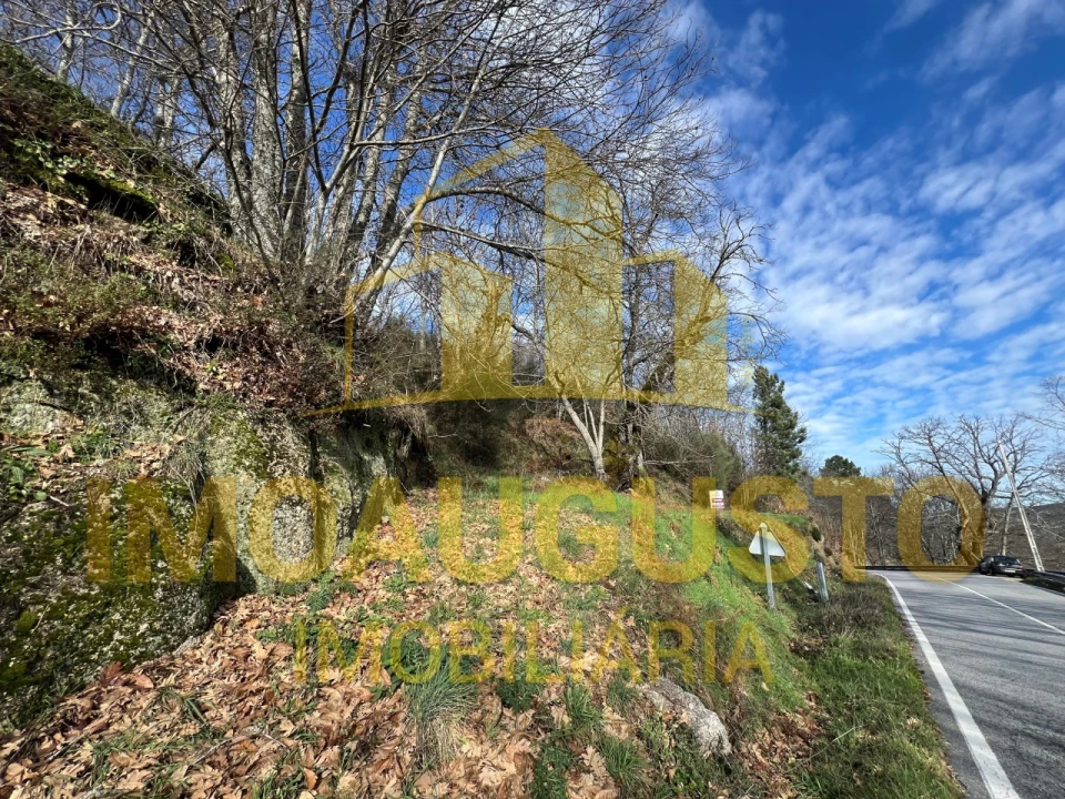 Terreno para Venda em Corujeira e Trinta Foto 7