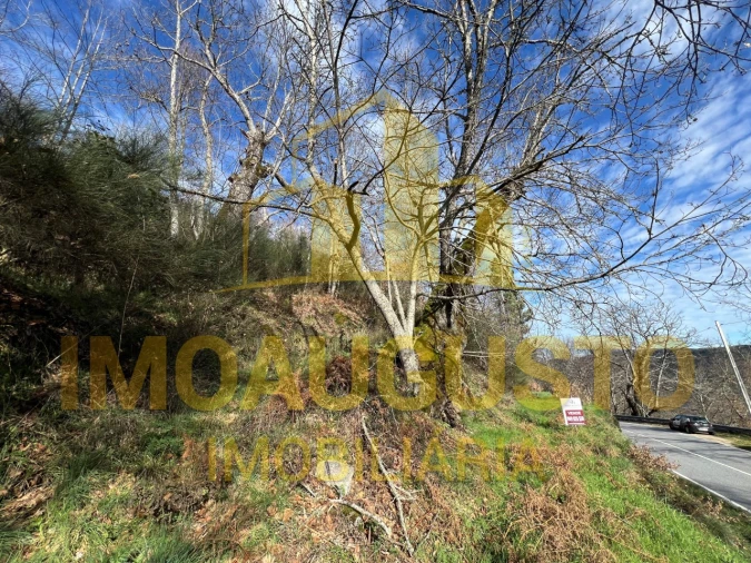 Terreno para Venda em Corujeira e Trinta Foto 6