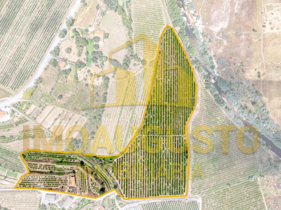 Quinta T3 para Venda em Valhelhas Foto 2