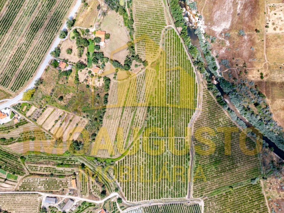 Quinta T3 para Venda em Valhelhas Foto 3