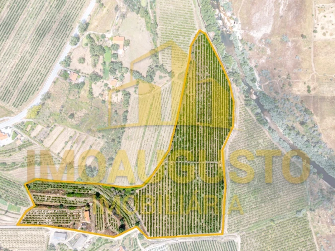 Quinta T3 para Venda em Valhelhas Foto 2