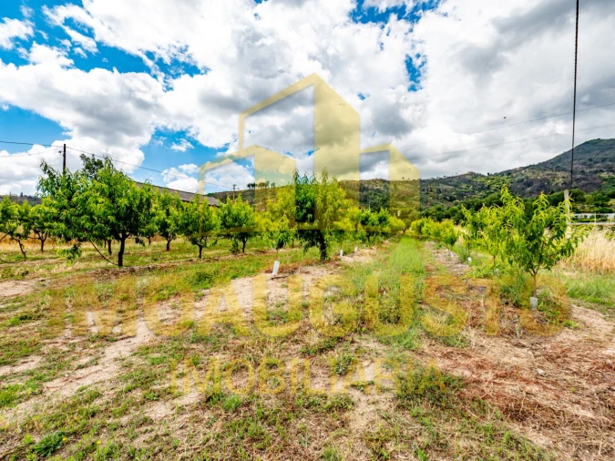 Quinta T3 para Venda em Valhelhas Foto 11