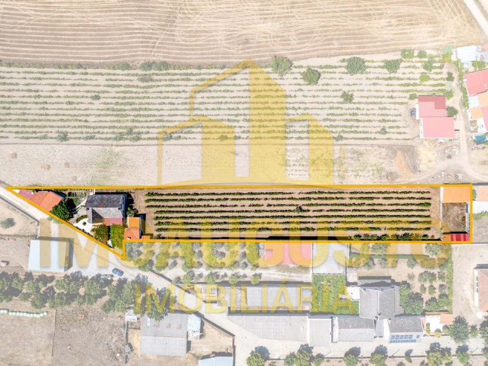 Moradia T5 para Venda em Vermiosa Foto 2