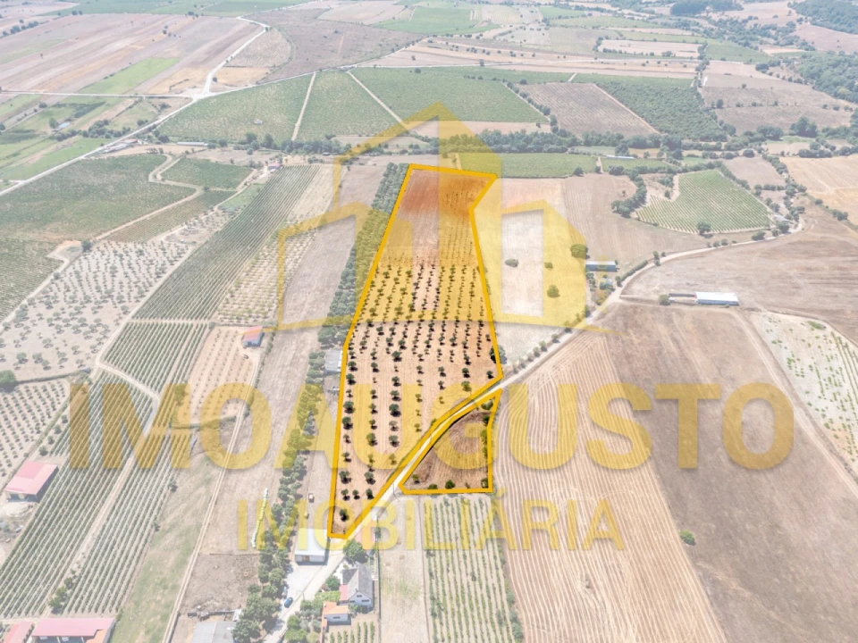 Moradia T5 para Venda em Vermiosa Foto 3