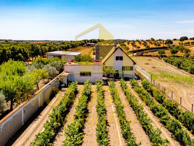 Moradia T5 para Venda em Vermiosa Foto 7