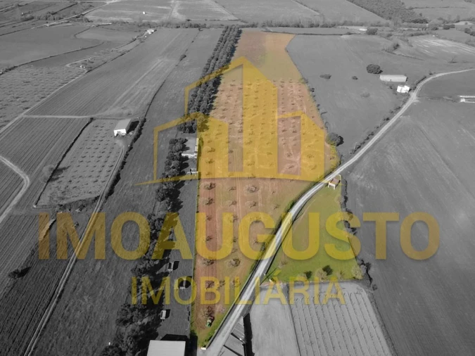 Moradia T5 para Venda em Vermiosa Foto 4