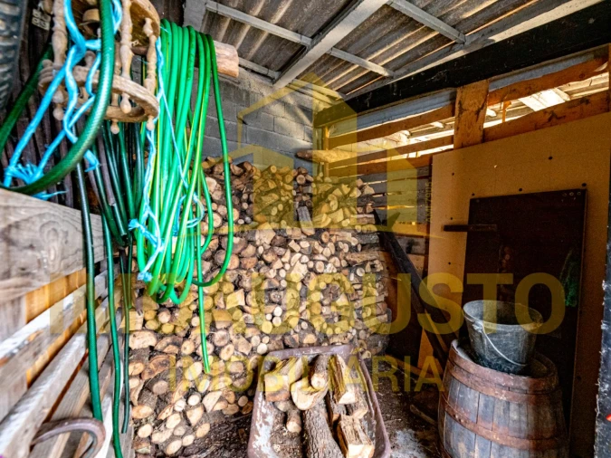 Moradia T4 para Venda em Lajeosa e Forcalhos Foto 31