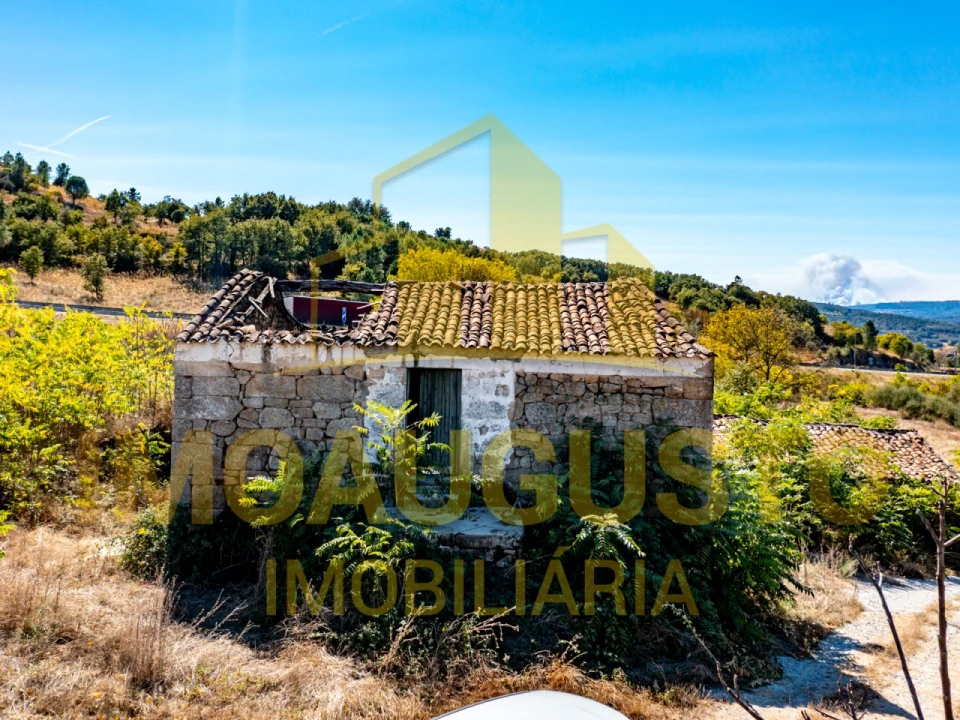 Quinta para Venda em São Pedro e Santa Maria e Vila Boa do Mondego Foto 3