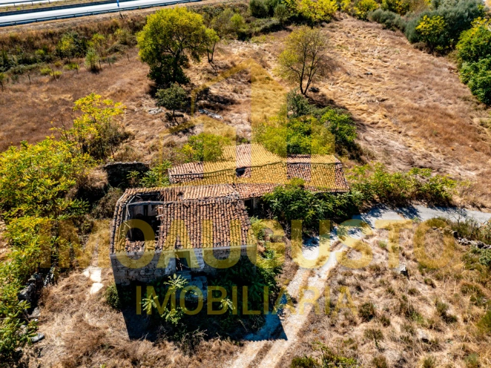Quinta para Venda em São Pedro e Santa Maria e Vila Boa do Mondego Foto 2