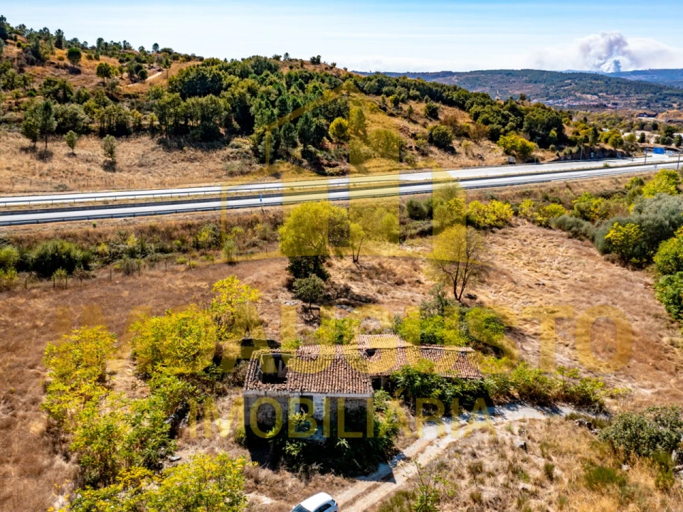 Quinta para Venda em São Pedro e Santa Maria e Vila Boa do Mondego Foto 5