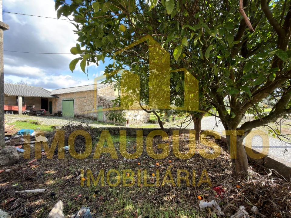 Moradia T4 para Venda em Tourais e Lajes Foto 6