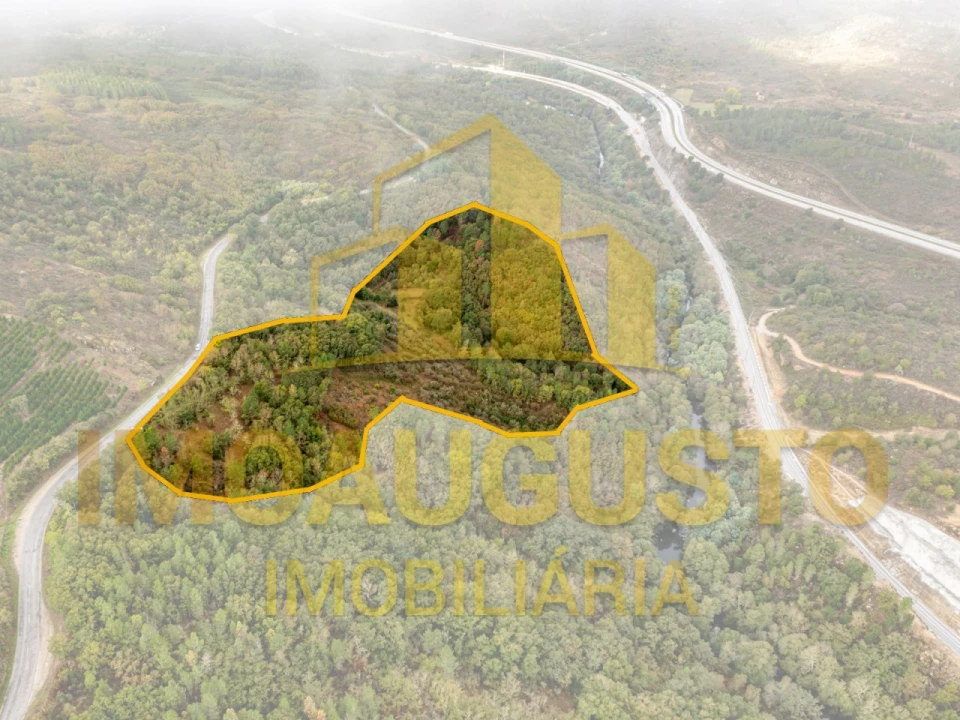 Quinta para Venda em São Pedro e Santa Maria e Vila Boa do Mondego Foto 1