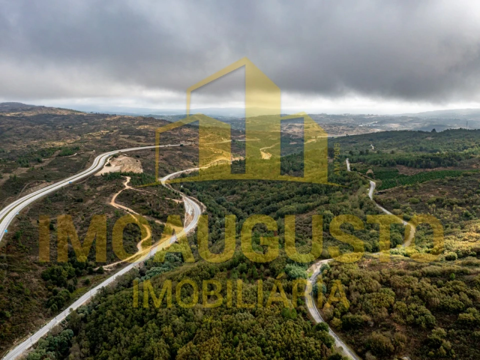 Quinta para Venda em São Pedro e Santa Maria e Vila Boa do Mondego Foto 3