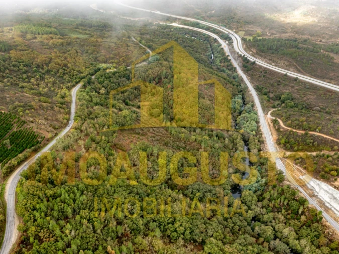 Quinta para Venda em São Pedro e Santa Maria e Vila Boa do Mondego Foto 2