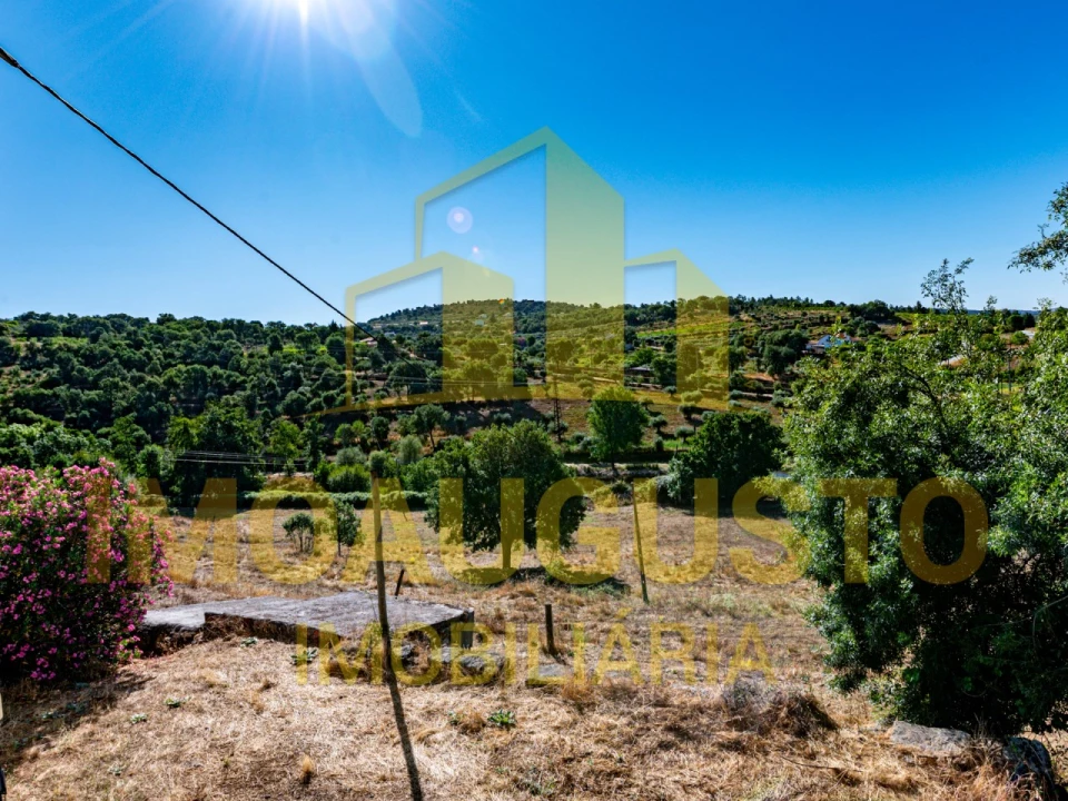 Moradia T3 para Venda em Pinhel Foto 21