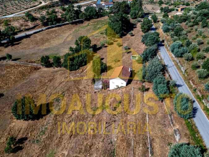 Moradia T3 para Venda em Pinhel Foto 3