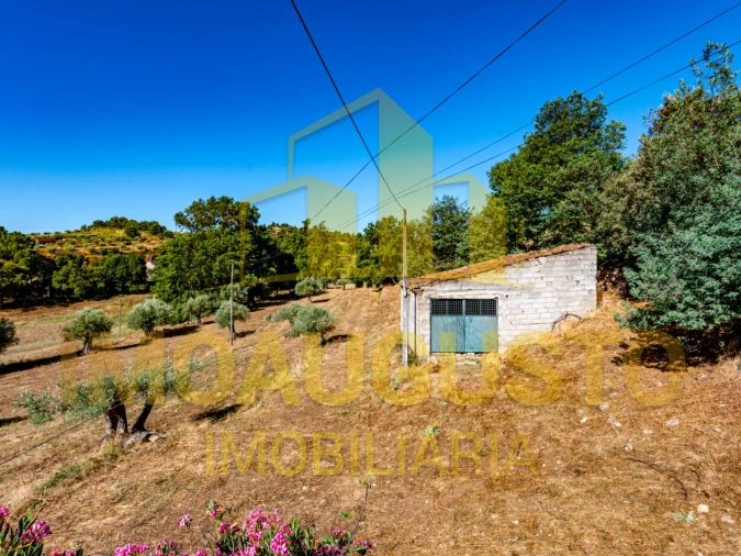 Moradia T3 para Venda em Pinhel Foto 19