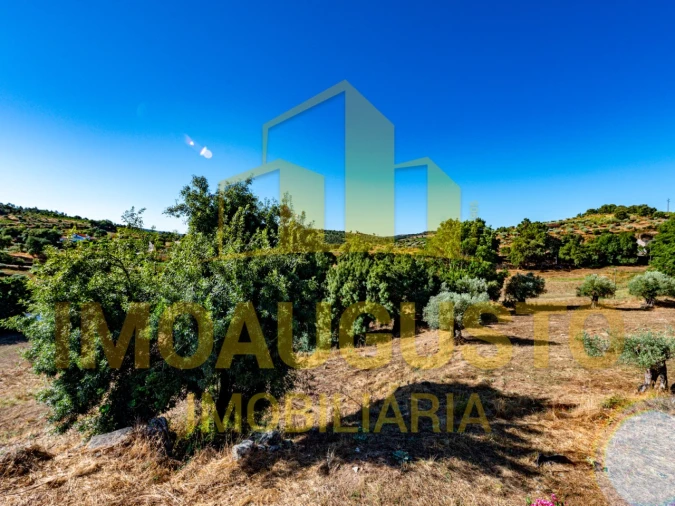 Moradia T3 para Venda em Pinhel Foto 22