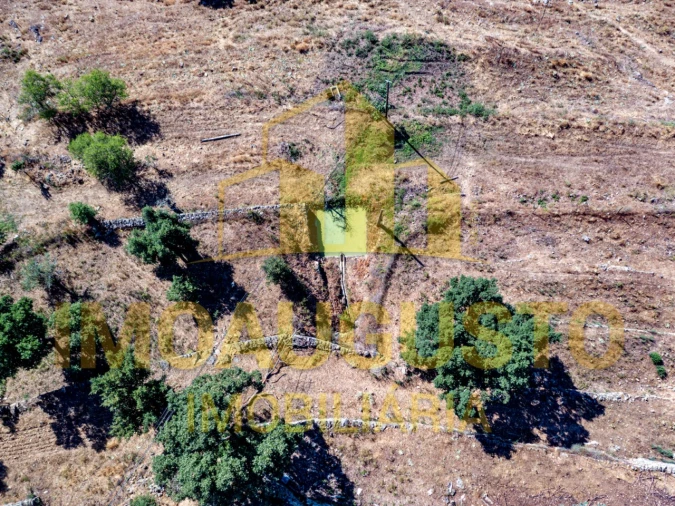 Moradia T3 para Venda em Pinhel Foto 27