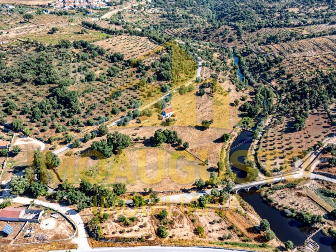 Moradia T3 para Venda em Pinhel Foto 29