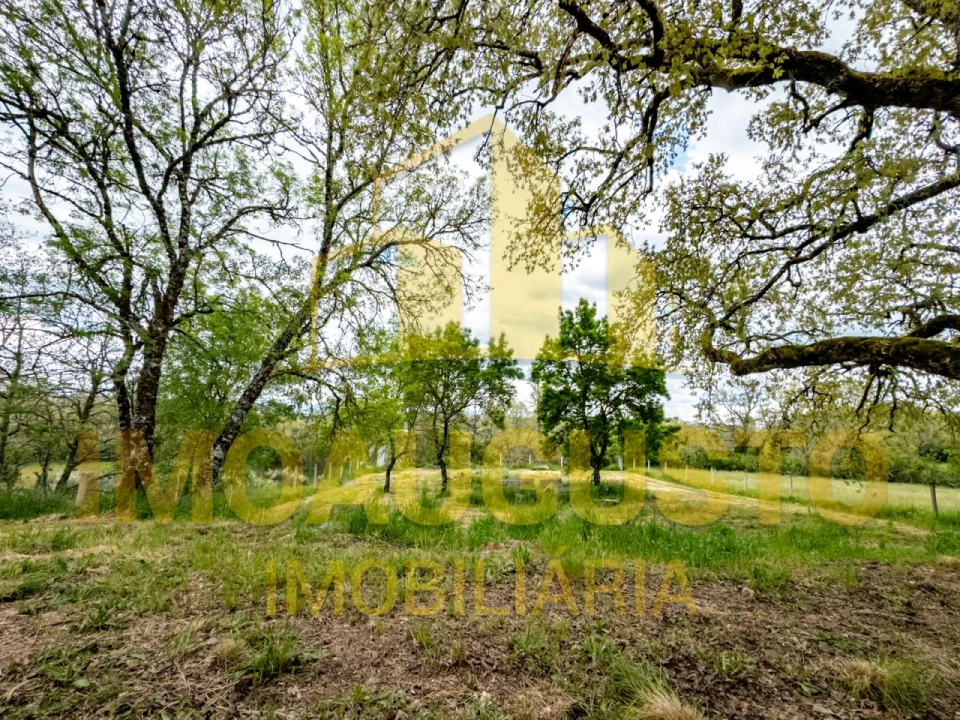 Terreno para Venda em Arrifana Foto 4